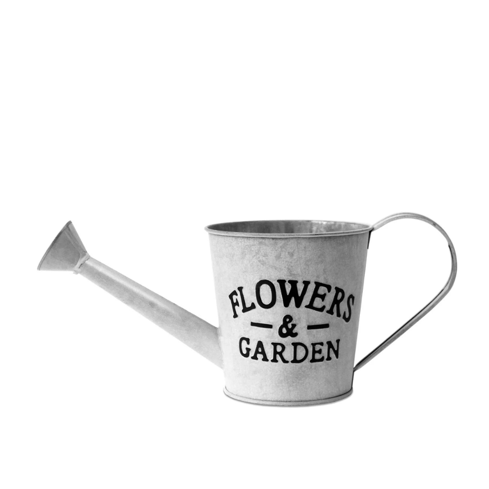 Arrosoir décoratif vintage Fleurs et Jardin 37 x 15 cm - Métal gris
