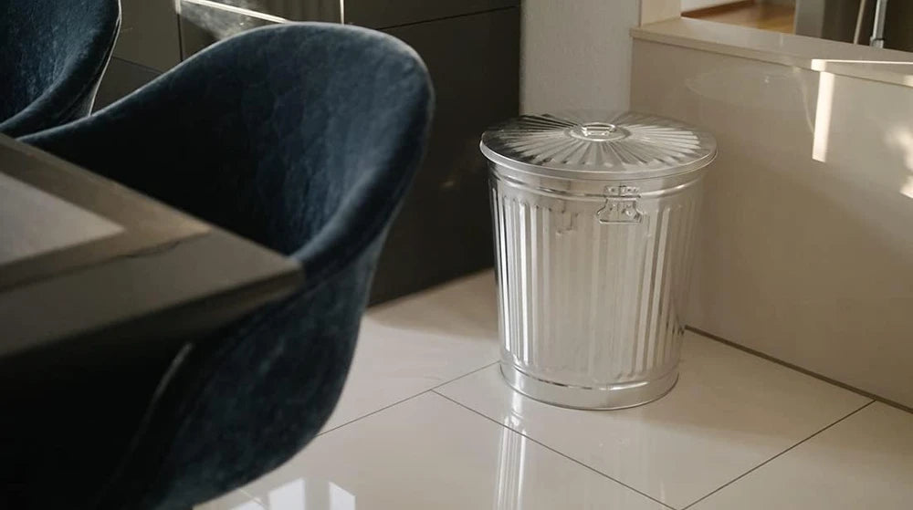 Bidone Zinco 35L Ø37cm con Coperchio Maniglie Multiuso