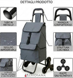 Carrello Spesa Pieghevole Saliscale