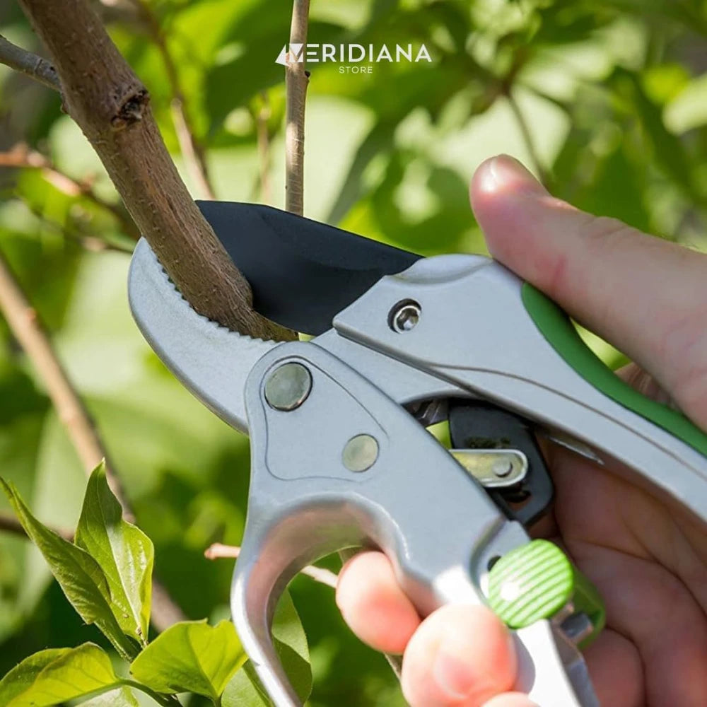 Forbici Giardino per Potatura a Cricchetto