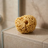 Set Bagno e Beauty con Spugna Naturale