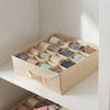 Set Organizer Armadio e Cassetti Basic: 2 Custodie in TNT, Organizer 16 Scomparti e 6 Profumatori