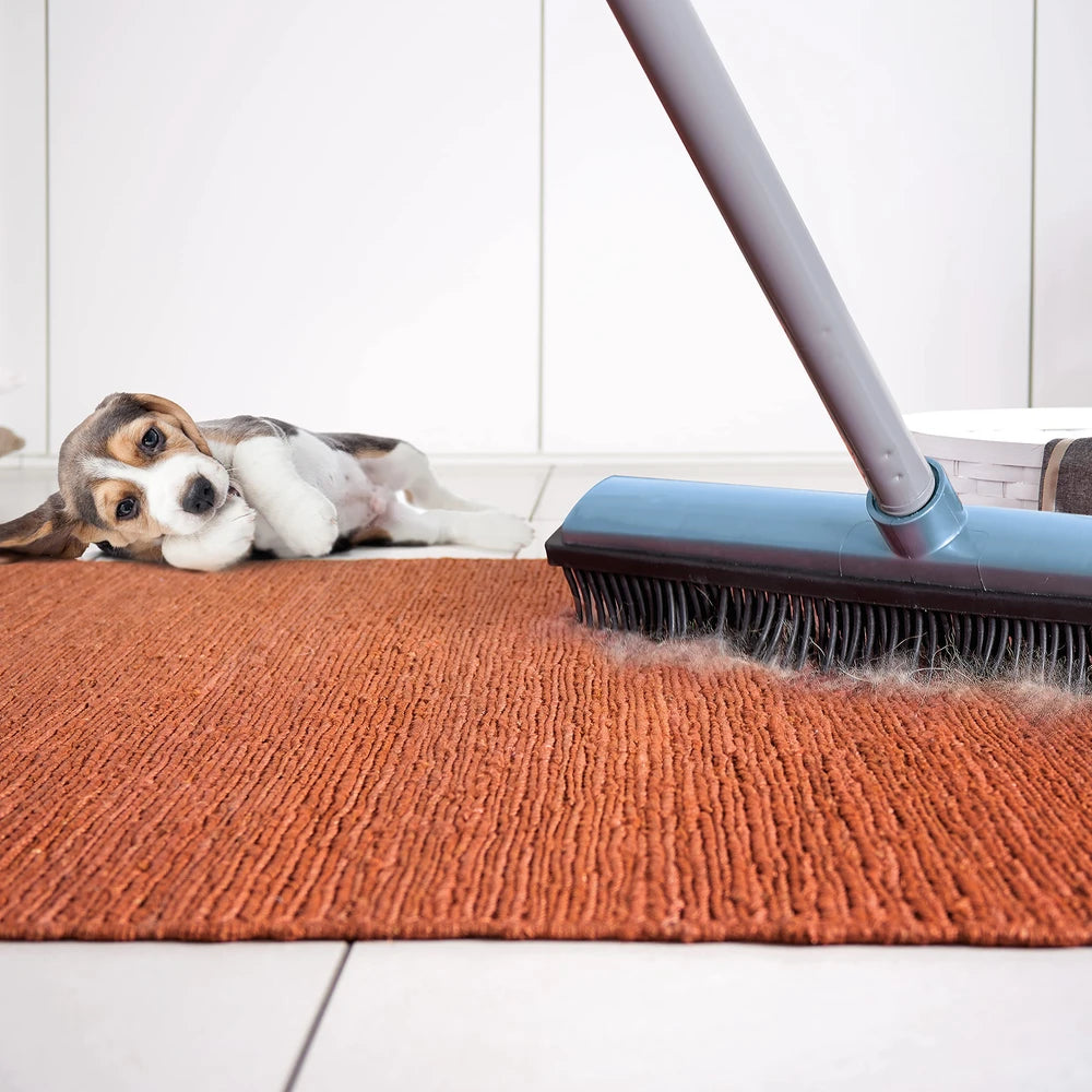 Perfect Gum Thermoplastic Rubber Broom, Avio, 32 cm