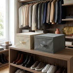 Scatola Organizer Armadio in TNT Easybox 40x50x25 cm | Perfetto Più