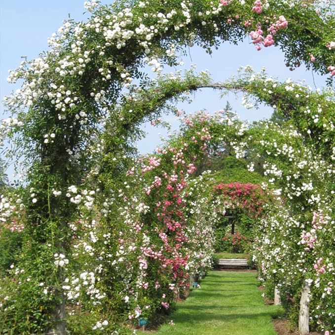 Arco Giardino Metallo Verde 140x38x240cm Rose Rampicanti