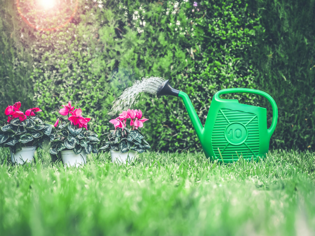 Annaffiatoio Ecoplast 10L con Doccetta Made in Italy