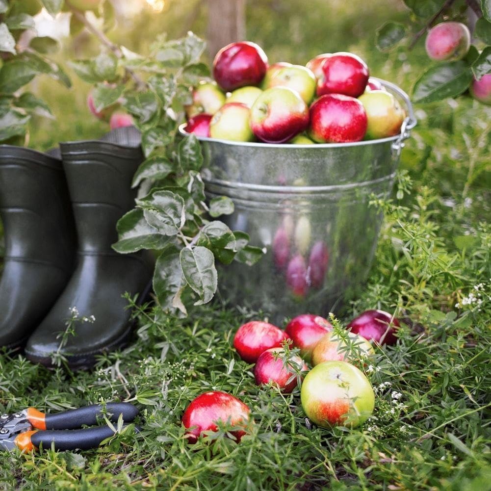 Secchio Acciaio Inox 10L Ø28cm Cucina Giardino