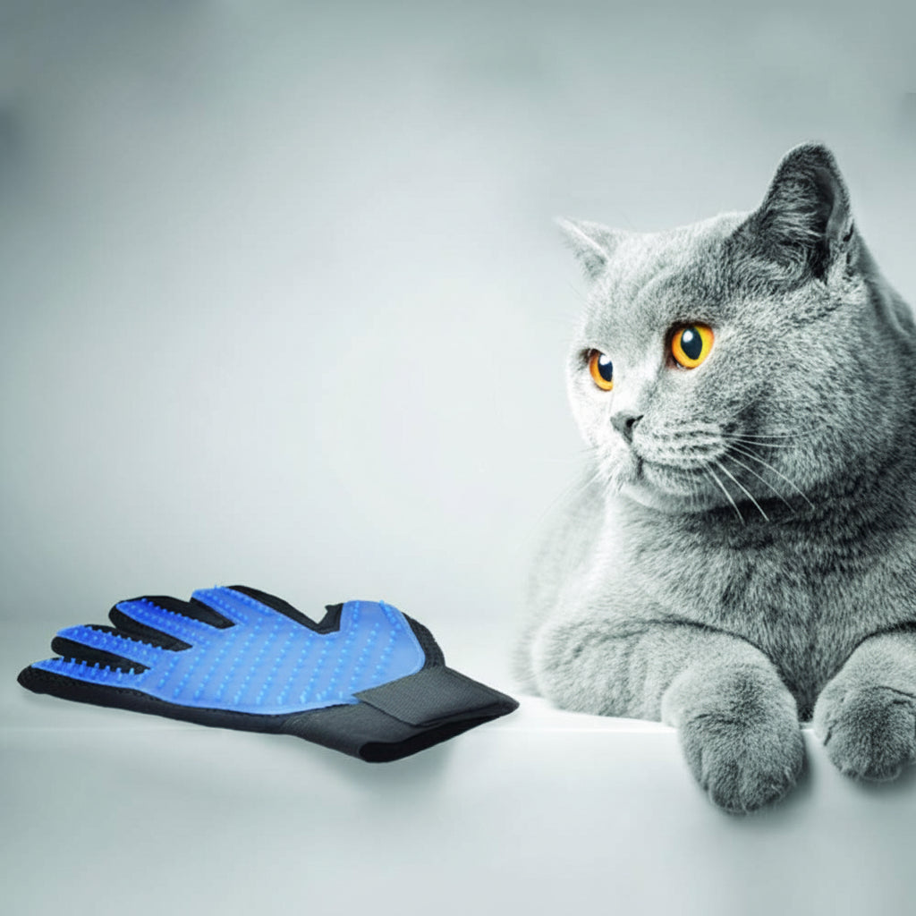 Paws Glove Fanny for Pets