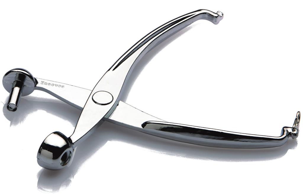 Pedrini Gadget Cherry/Olive Pitter, Metal, Silver, One Size