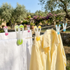 Mollette colorate sul bucato al sole