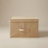 Scatola Organizer Armadio in TNT Easybox 40x50x25 cm | Perfetto Più