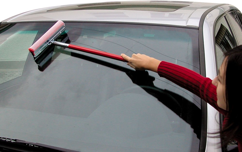 Lady Doc Iron sponge window cleaner with 25 cm handle 01563 [LADY DOC]